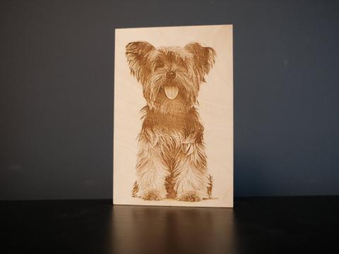 engraved dog photo front shot