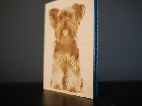 engraved dog photo showing thickness