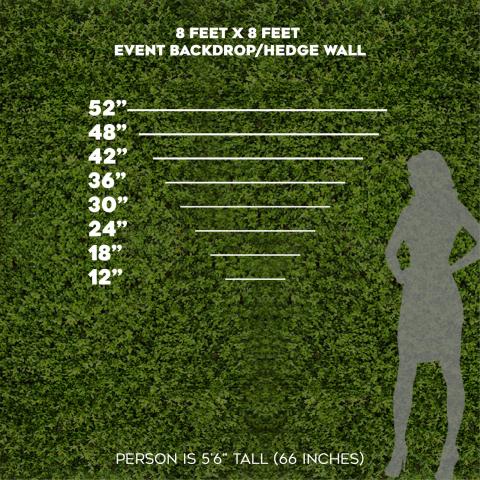 Hedge wall size comparison