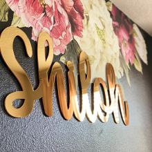 Shiloh in gold mirror