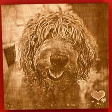 Pet memorial photo with message